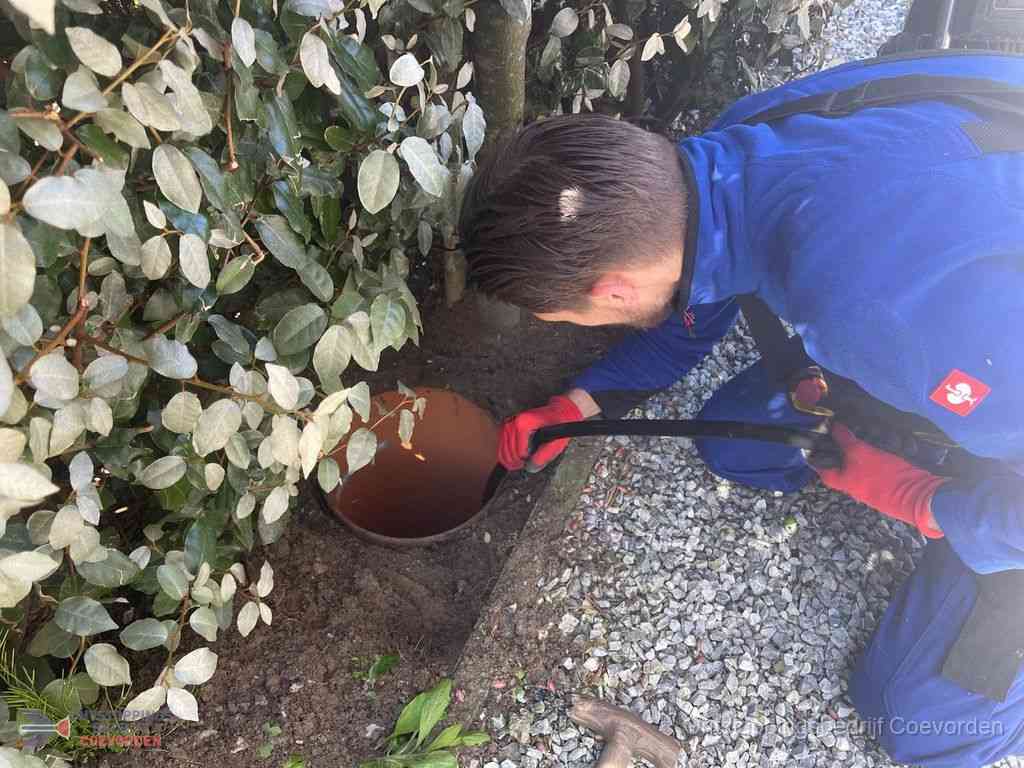 Rioolvliegjes Coevorden Rioolvliegjes Coevorden